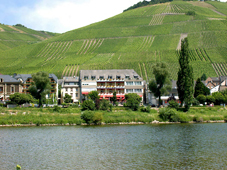 Zeltingen - Hotel Nicolay zur Post - foto 1