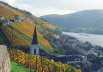 Hotel Berg�s Alte Bauernsch�nke - foto 7