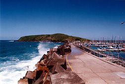 Sydney - Byron Bay - Sydney in 6 dagen - foto 2