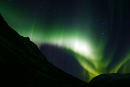 5-daagse mini-expeditie Hurtigruten