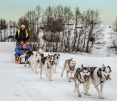 Safari`s in Kirkenes - foto 1