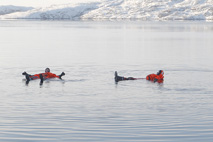 Safari`s in Kirkenes - foto 6