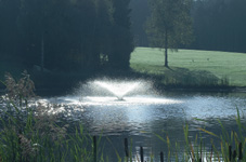 Genk - Hotel Stiemerheide  - foto 14