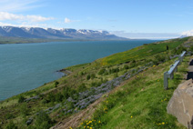 Het beste van IJsland - foto 17