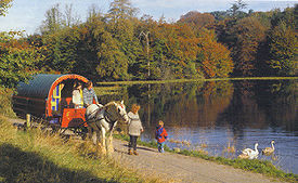 Huifkartochten in Ierland  - foto 1