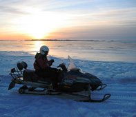 Wintersafari�s in Kemi - foto 1