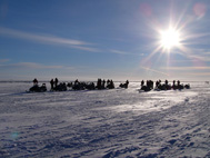 Wintersafari�s in Kemi - foto 3