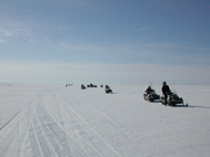 Wintersafari�s in Kemi - foto 6