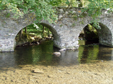 Sart-Custinne - Hotel Moulin de Boiron - foto 11