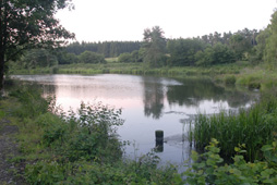 Sart-Custinne - Hotel Moulin de Boiron - foto 8