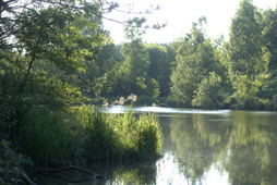 Sart-Custinne - Hotel Moulin de Boiron - foto 9
