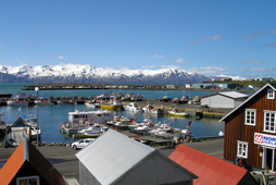 Autorondreis - IJsland Express in cottages - foto 1