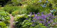 Begeleide Engelstalige rondreis �Round Scotland� - foto 6