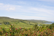 Begeleide Engelstalige rondreis �Round Scotland� - foto 8