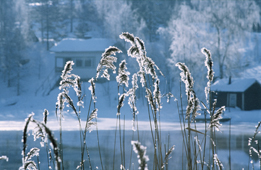 Ivalo - Inari