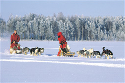 Gallia foto 3