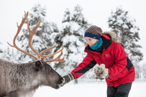 Afbeeldingsresultaat voor torasieppi authentic lapland