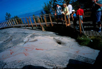 Gallia foto 6