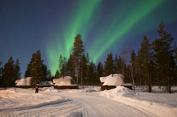 Afbeeldingsresultaat voor aurora fun