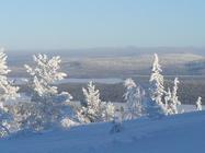  - foto 1