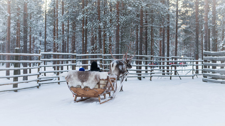 Afbeeldingsresultaat voor rovaniemi treehouse magic