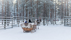 Gallia foto 6