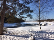 Gallia photo 5