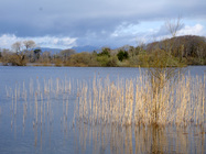 Autorondreis Charming Ireland - foto 15