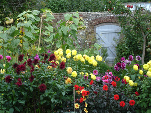Gallia photo 2