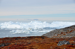 Gallia foto 7