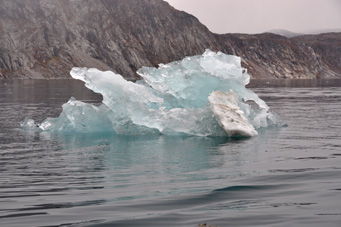 Gallia foto 8