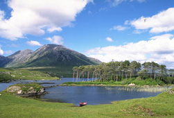 Gallia foto 6