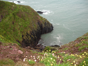 Gallia foto 4