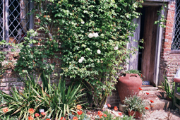 Gallia foto 4